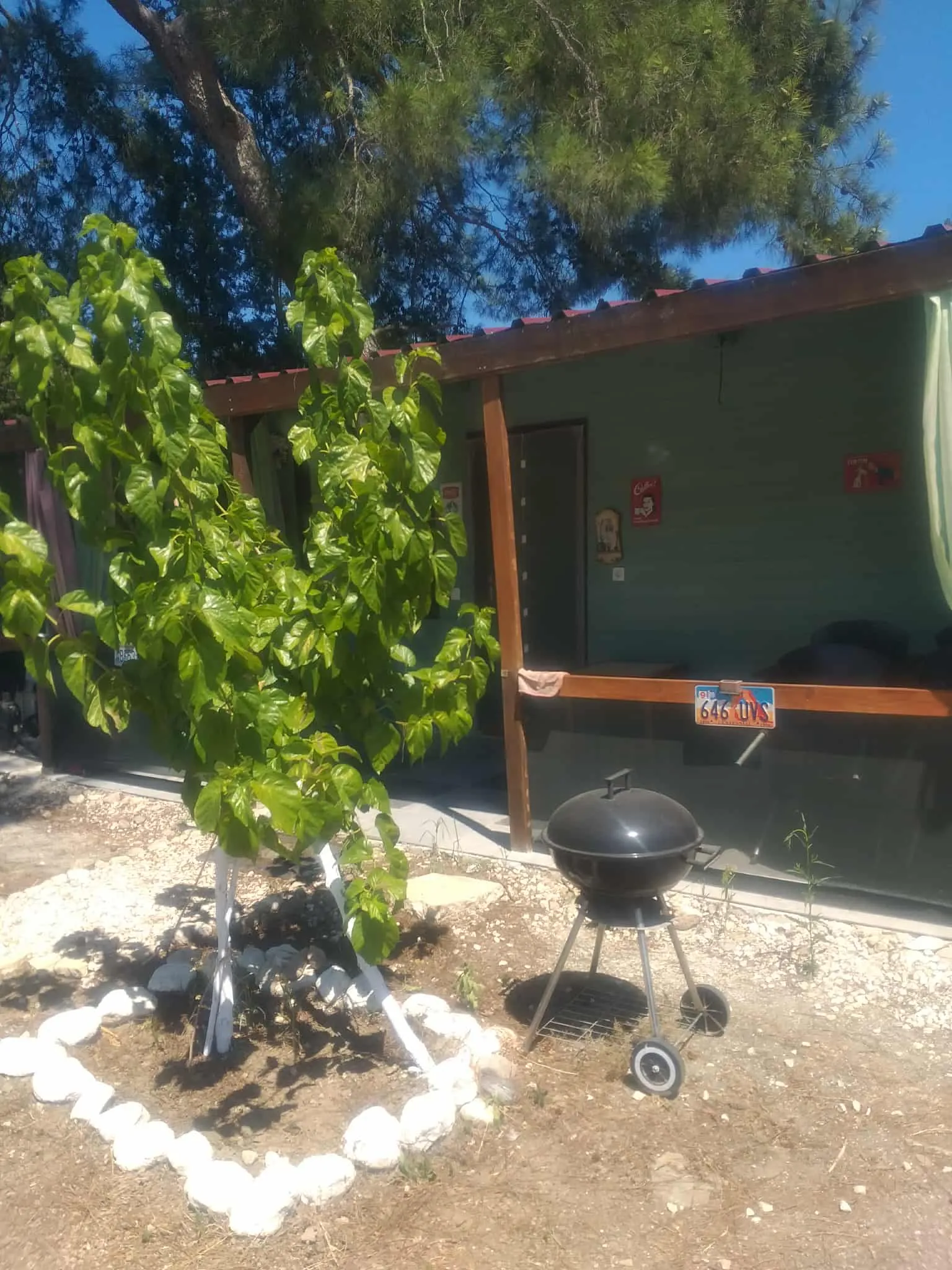 Kiralık Bungalov Evler