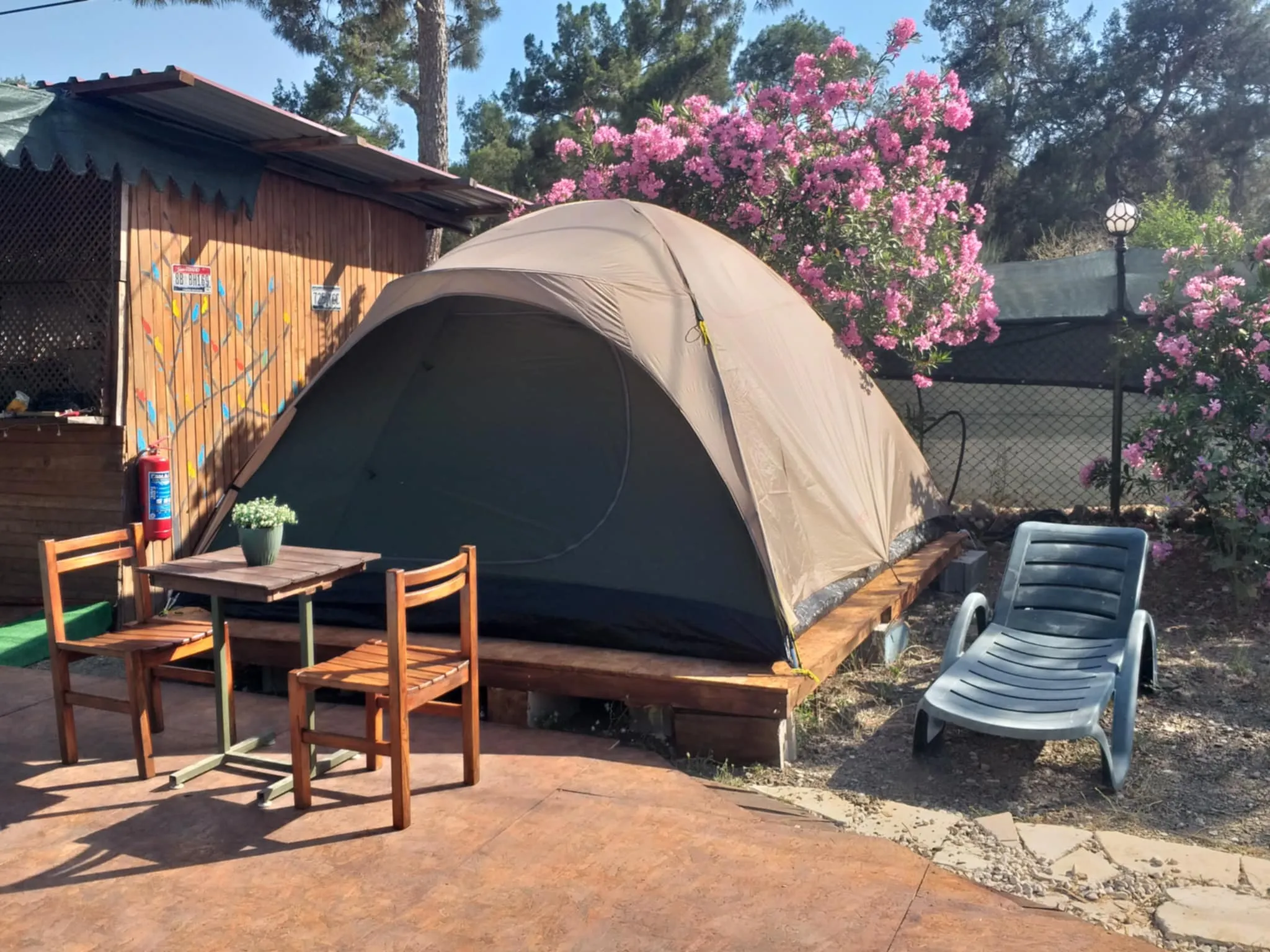 Çadır Kamp Alanı – Doğanın Kalbinde Gerçek Kamp Deneyimi